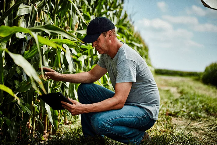 Справочник агронома